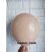 Kalisan Hazelnut (fındık) Balon 12inç 30 cm 100'lü paket Kalisan Hazelnut (fındık) Balon 12inç 30 cm 100'lü paket